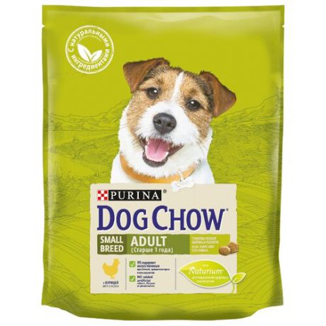 Сухой корм для собак DOG CHOW для здоровья кожи и шерсти, курица 800г (для мелких пород)