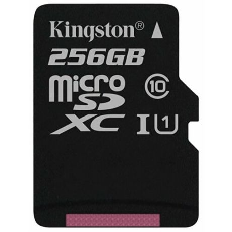 Карта памяти Kingston SDCS/256GBSP