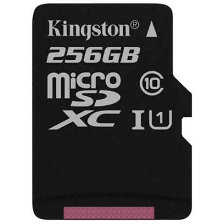 Карта памяти Kingston Canvas Select microSDXC Class 10 UHS-I U1 256GB + SD adapter (SDCS/256GB)