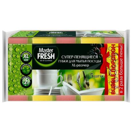 Губки для посуды Master FRESH XL 5 шт