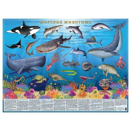 Плакат РУЗ Ко Морские животные. Настольное издание