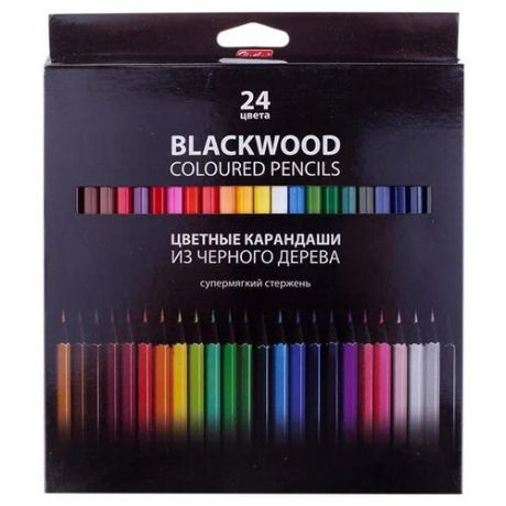 Hatber цветные карандаши BLACK DIAMOND, 24 цвета (BKc_24830)