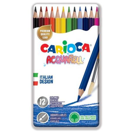 Carioca набор цветных карандашей Acquarell 12 цветов (42859)