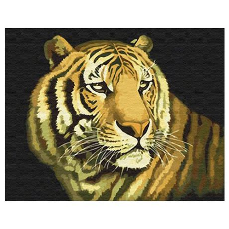 Paintboy Картина по номерам "Тигр" 40х50 см (G036)
