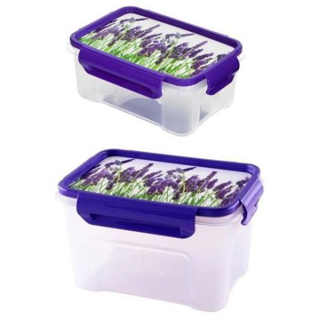 ПОЛИМЕРБЫТ Набор контейнеров для СВЧ Лаванда 45261055 белый, фиолетовый