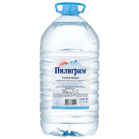 Минеральная питьевая вода Пилигрим негазированная, ПЭТ, 5 л