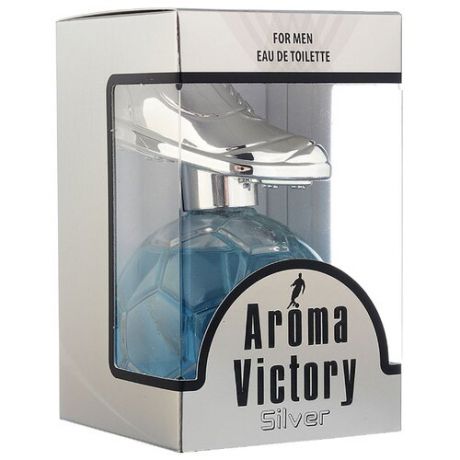 Туалетная вода Парфюмерия XXI века Aroma Victory Silver, 100 мл