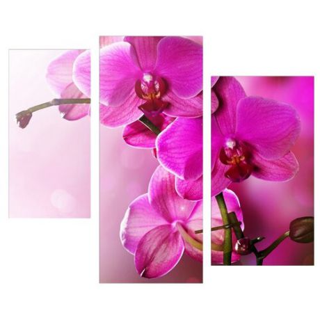 Модульная картина KARTINA style Тайна орхидеи 84х72 см