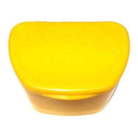 StaiNo Denture Box – Бокс пластиковый, 95*74*39 мм (желтый)