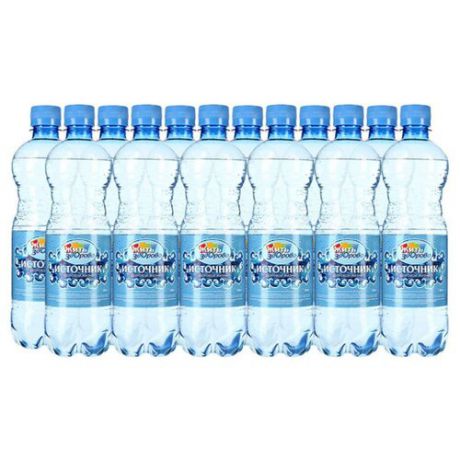 Вода питьевая Источник здоровой жизни газированная ПЭТ, 12 шт. по 0.6 л