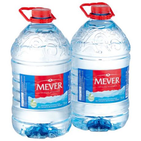 Вода минеральная питьевая природная столовая Мевер негазированная, ПЭТ, 2 шт. по 5 л