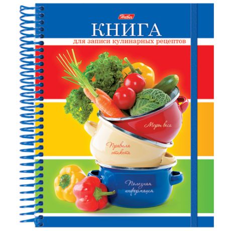 Записная книжка Hatber для кулинарных рецептов Смак, 80 листов, разноцветный