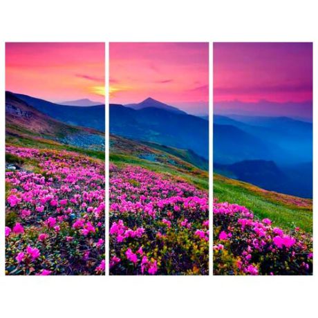 Модульная картина Ekoramka Горы и цветы 90х90 см