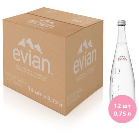 Вода минеральная Evian негазированная, стекло, 12 шт. по 0.75 л
