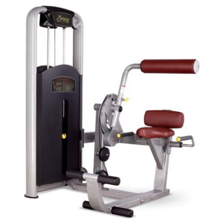 Тренажер со встроенными весами Bronze Gym MV-009 коричневый/серый