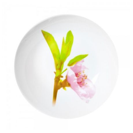Luminarc Тарелка суповая Water Color 20 см белый/розовый/зеленый