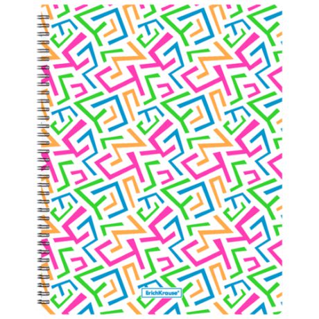 ErichKrause Папка файловая с 20 карманами на спирали Lines A4 разноцветные полоски