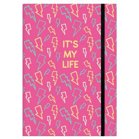 Записная книжка Феникс+ Это моя жизнь (47851), 96 листов, цветные молнии