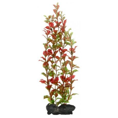Искусственное растение Tetra Red Ludwigia L красный/зеленый