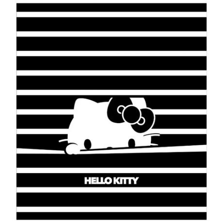 Action! Тетрадь "Hello Kitty" HKO-A16001/5-2, клетка, 160 л. черный/белый