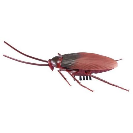 Робот ZURU Бегающий тараканище коричневый