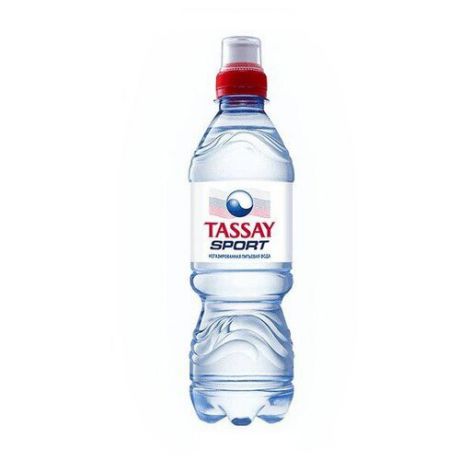 Вода питьевая TASSAY SPORT негазированная, ПЭТ, 0.5 л