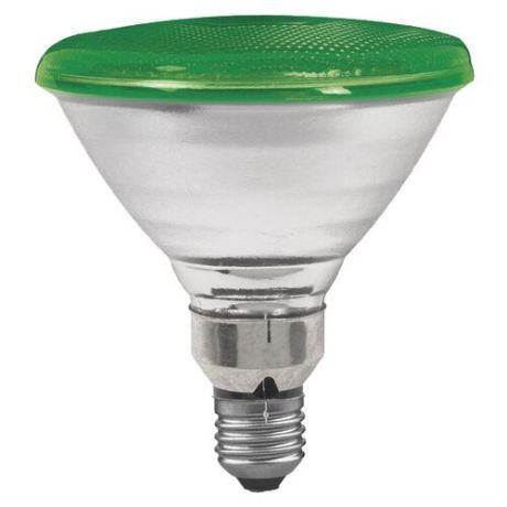 Лампа накаливания Paulmann E27, 80Вт