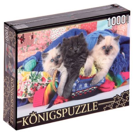 Пазл Рыжий кот Konigspuzzle Три котенка (КБК1000-6467), 1000 дет.