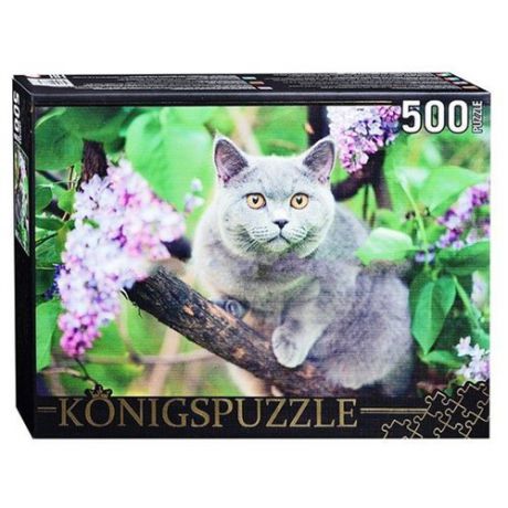 Пазл Рыжий кот Konigspuzzle Британская голубая кошка (ГИК500-8303), 500 дет.