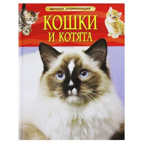 Детская энциклопедия. Кошки и котята