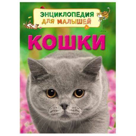 Мильборн А. "Кошки. Энциклопедия для малышей"