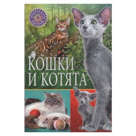 Популярная детская энциклопедия. Кошки и котята