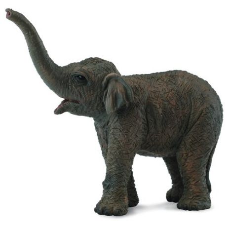 Collecta Азиатский слонёнок 88487