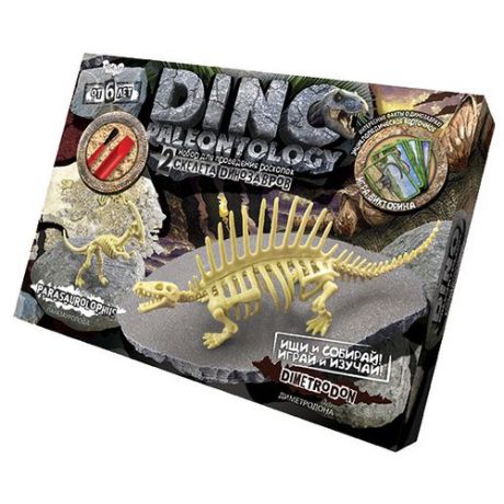 Набор для раскопок Danko Toys Dino Paleontology № 4