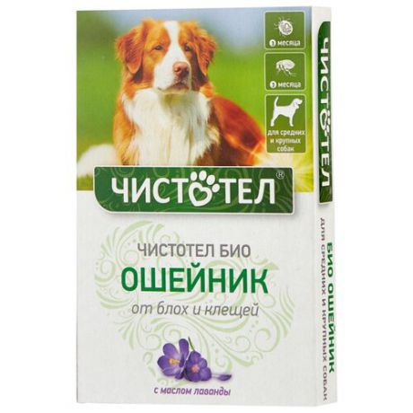 Ошейник от блох и клещей ЧИСТОТЕЛ Био для собак и щенков, 65 см