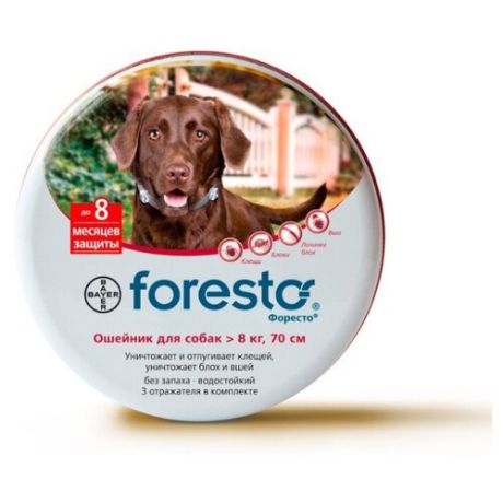 Ошейник от блох и клещей Форесто (Bayer) инсектоакарицидный для собак и щенков, 70 см