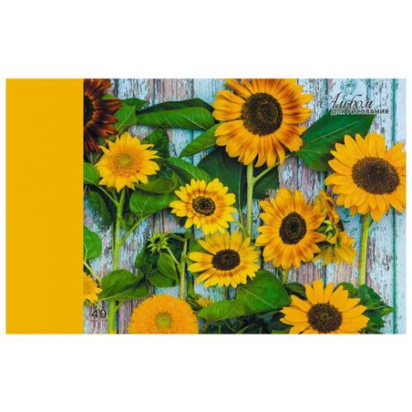 Альбом для рисования Unnika land Солнечные цветы 29.7 х 21 см (A4), 110 г/м², 40 л.