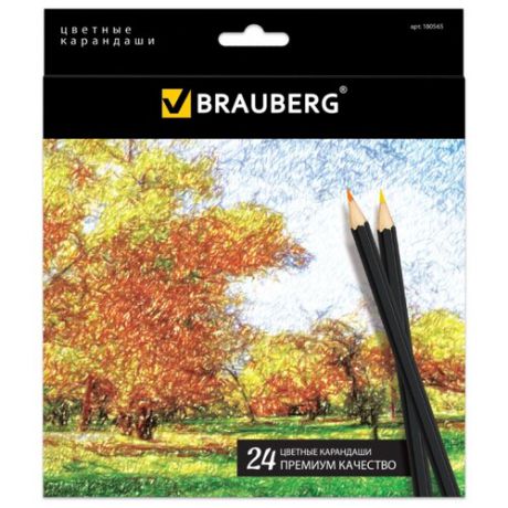 BRAUBERG Цветные карандаши Artist line 24 цвета (180565)