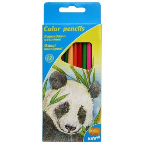 Kite цветные карандаши Животные, 12 цветов (K16-053)