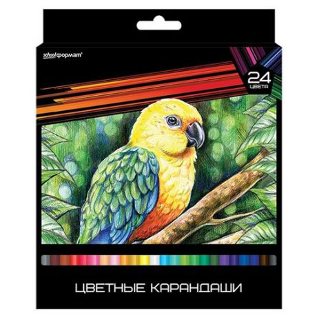 SchoolФормат Набор цветных карандашей 24 цвета Дикая планета (КЦ24-ДП)