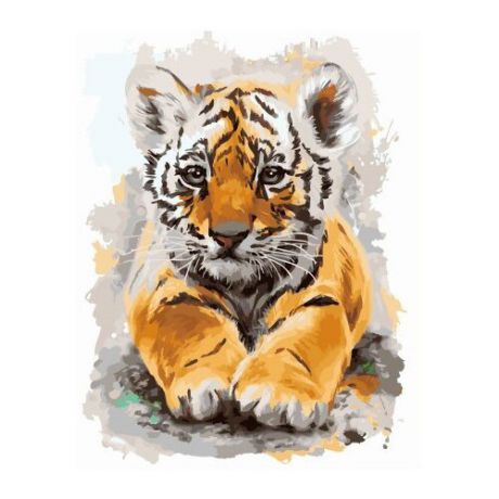 ВанГогВоМне Картина по номерам "Маленький тигренок", 40х50 см (ZX 22165)