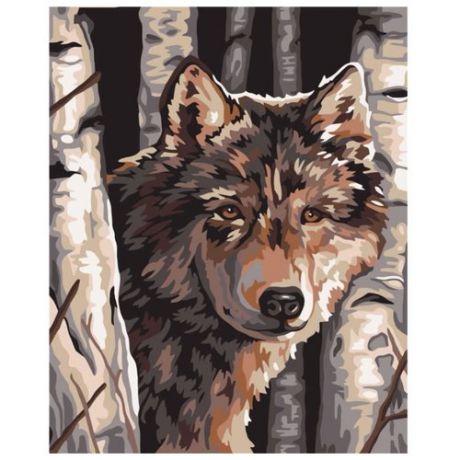 Dimensions Картина по номерам "Волк среди берез" 23х30 см (DMS-91325)