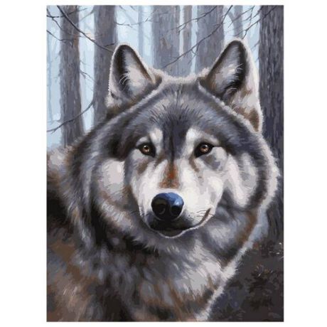 Белоснежка Картина по номерам "Волк" 30х40 см (090-AS)