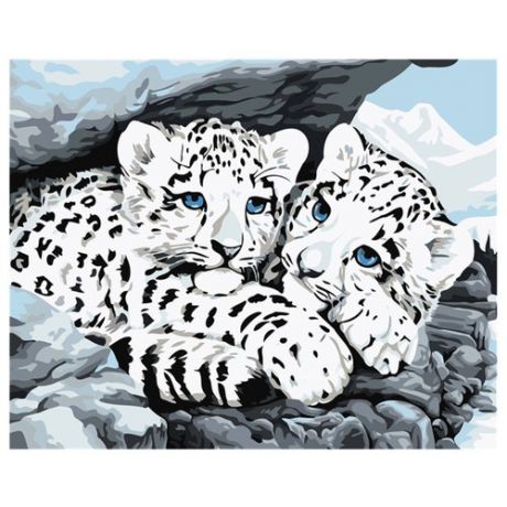Dimensions Картина по номерам "Детеныши снежного леопарда" 28х36 см (DMS-91079)