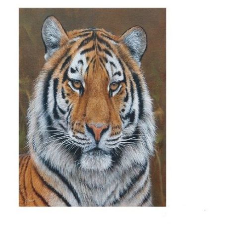 Molly Картина по номерам "Амурский тигр" 15х20 см (KH0250)