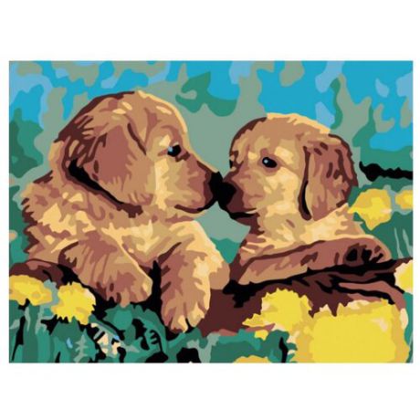 Color Kit Картина по номерам "Милые щенки" 30х40 см (CE102)