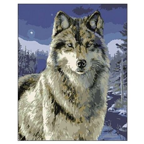 Рыжий кот Картина по номерам "Ночной волк" 40х50 см (B908)
