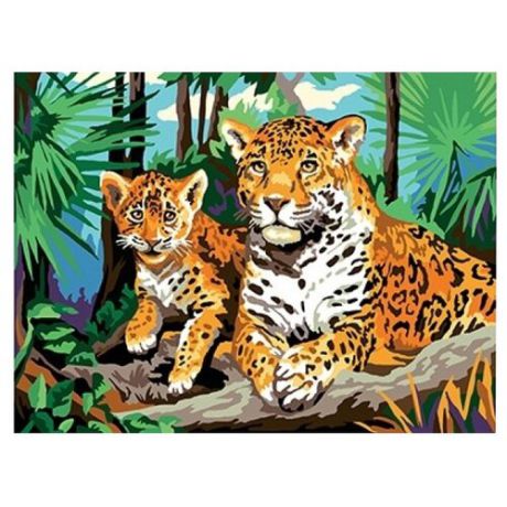 Рыжий кот Картина по номерам "Леопард" 30х40 см (Х-0395)
