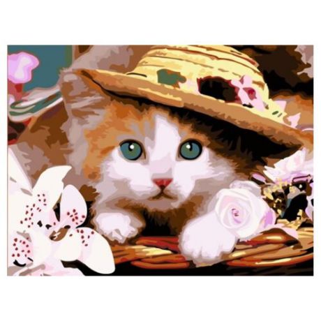 Рыжий кот Картина по номерам "Котенок в шляпе" 40х50 см (E059)