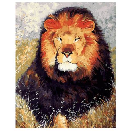 Белоснежка Картина по номерам "Царь зверей" 40х50 см (154-AB)